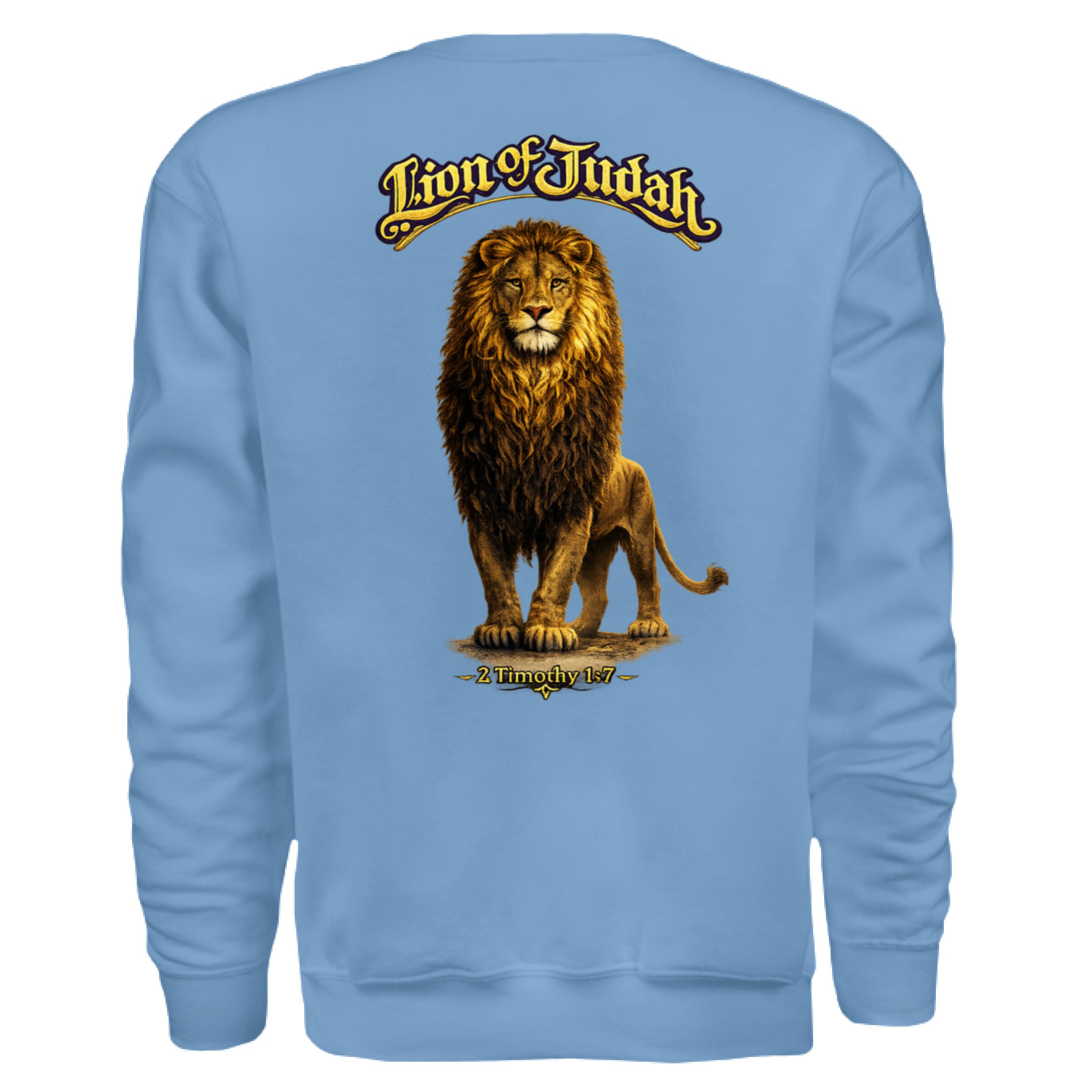 CAROLINA BLUE - BACK